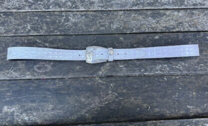Labelle croco silver - Image 2